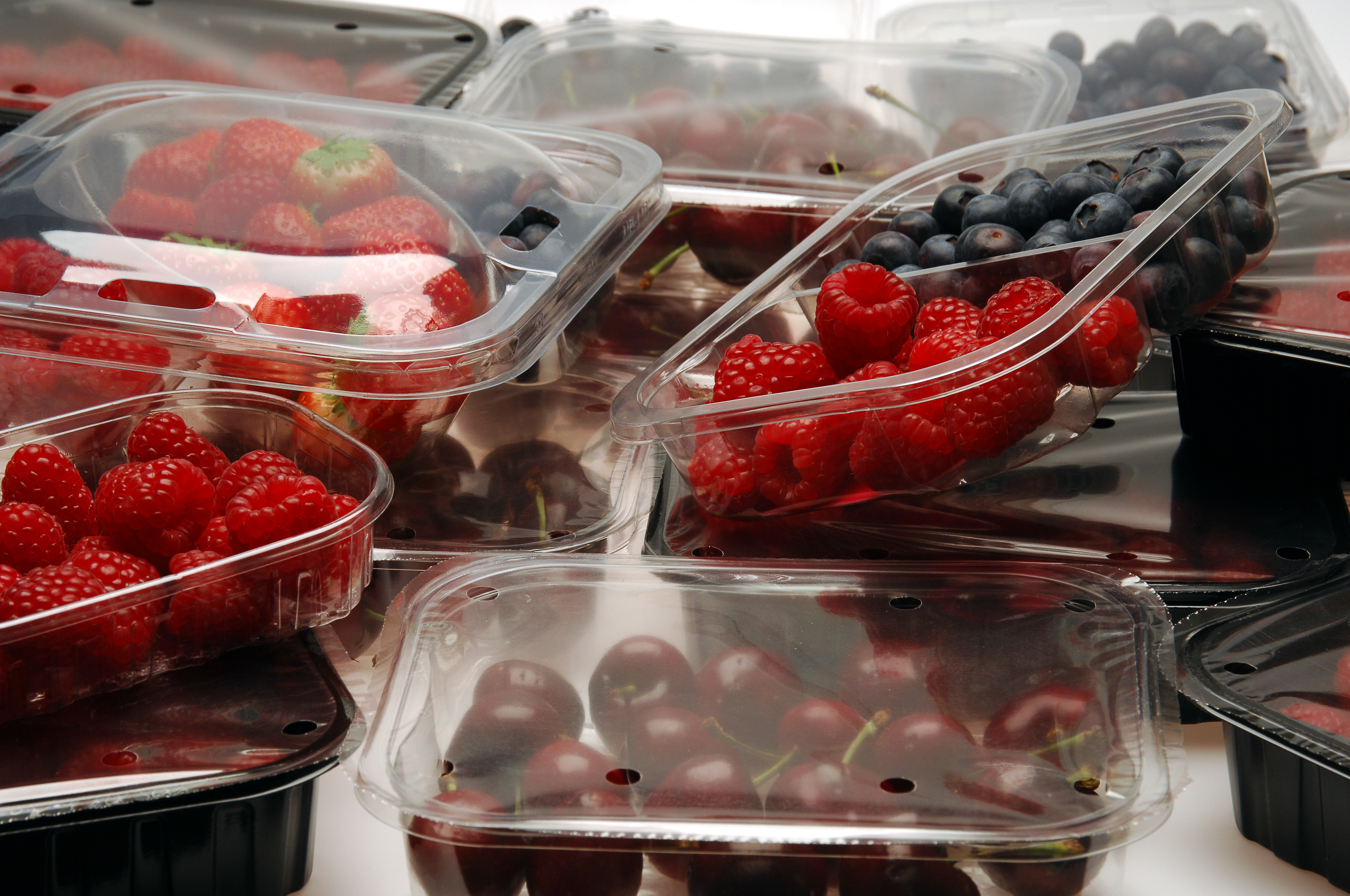 Punnets
